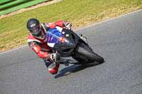 enduro-digital-images;event-digital-images;eventdigitalimages;mallory-park;mallory-park-photographs;mallory-park-trackday;mallory-park-trackday-photographs;no-limits-trackdays;peter-wileman-photography;racing-digital-images;trackday-digital-images;trackday-photos